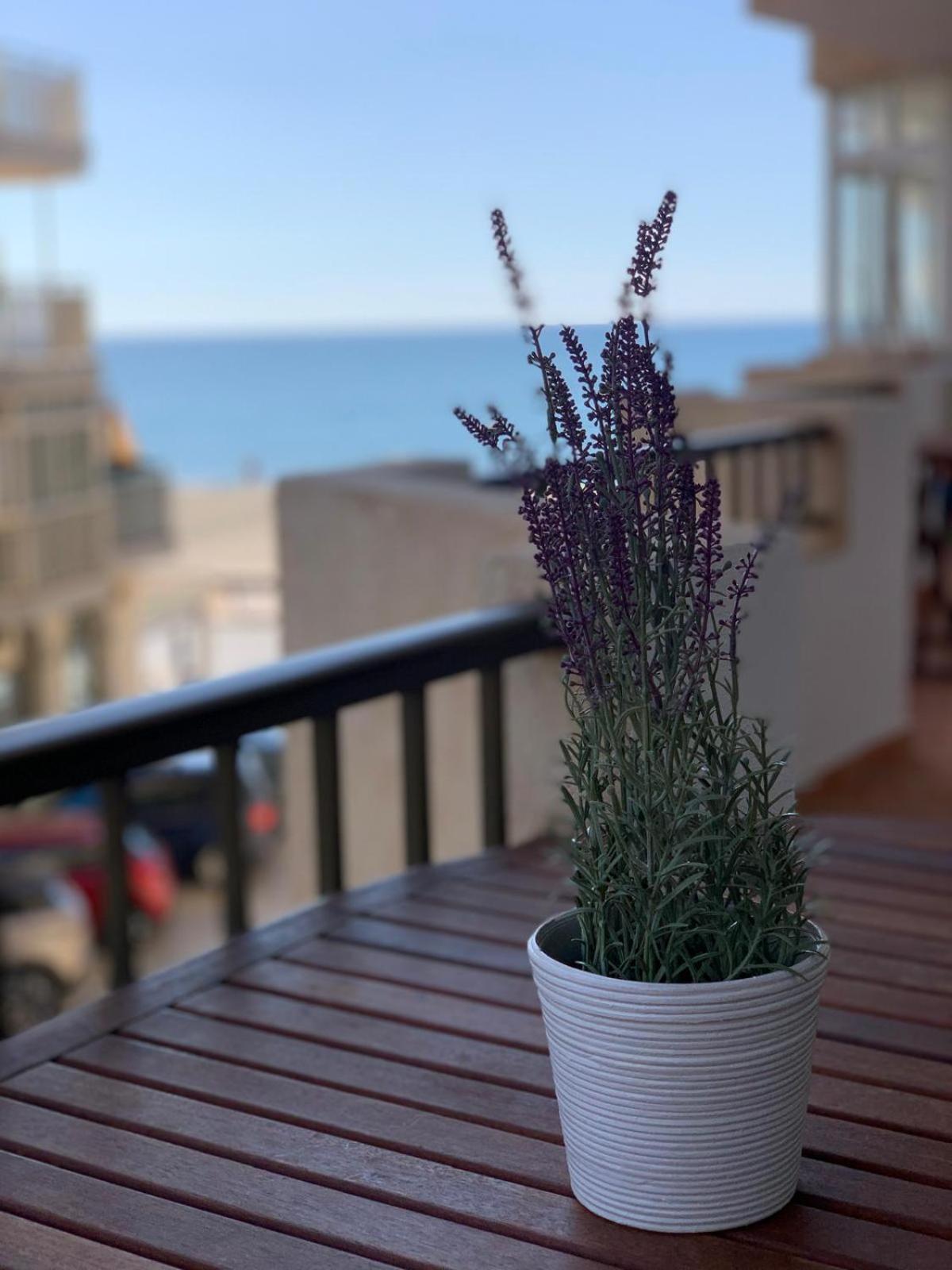 Apartament De Luxe *